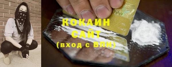 эйфоретик Бородино