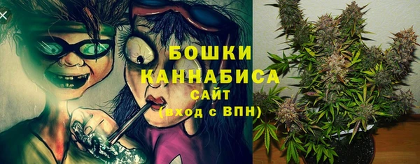 ПСИЛОЦИБИНОВЫЕ ГРИБЫ Покровск