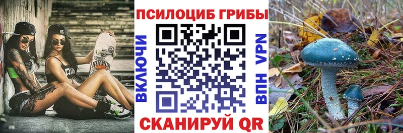 Псилоцибиновые грибы Psilocybe  Мещовск 